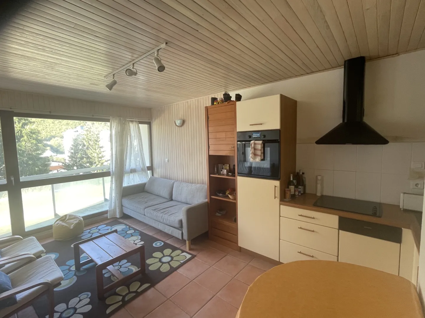Eur 104 / Estudio cabaña / Complejo turístico de Gourette